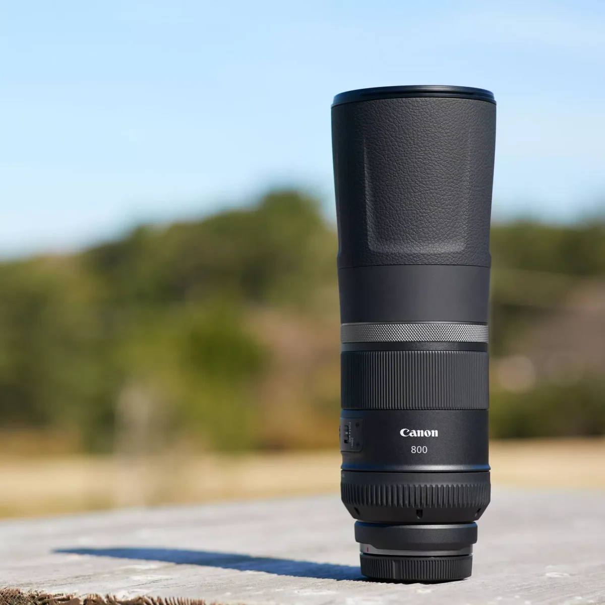 Canon RF 800mm F11 IS STM Lens Lifestyle 1