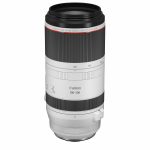 Canon RF 100-500mm f4.5-7.1 L IS USM Lens