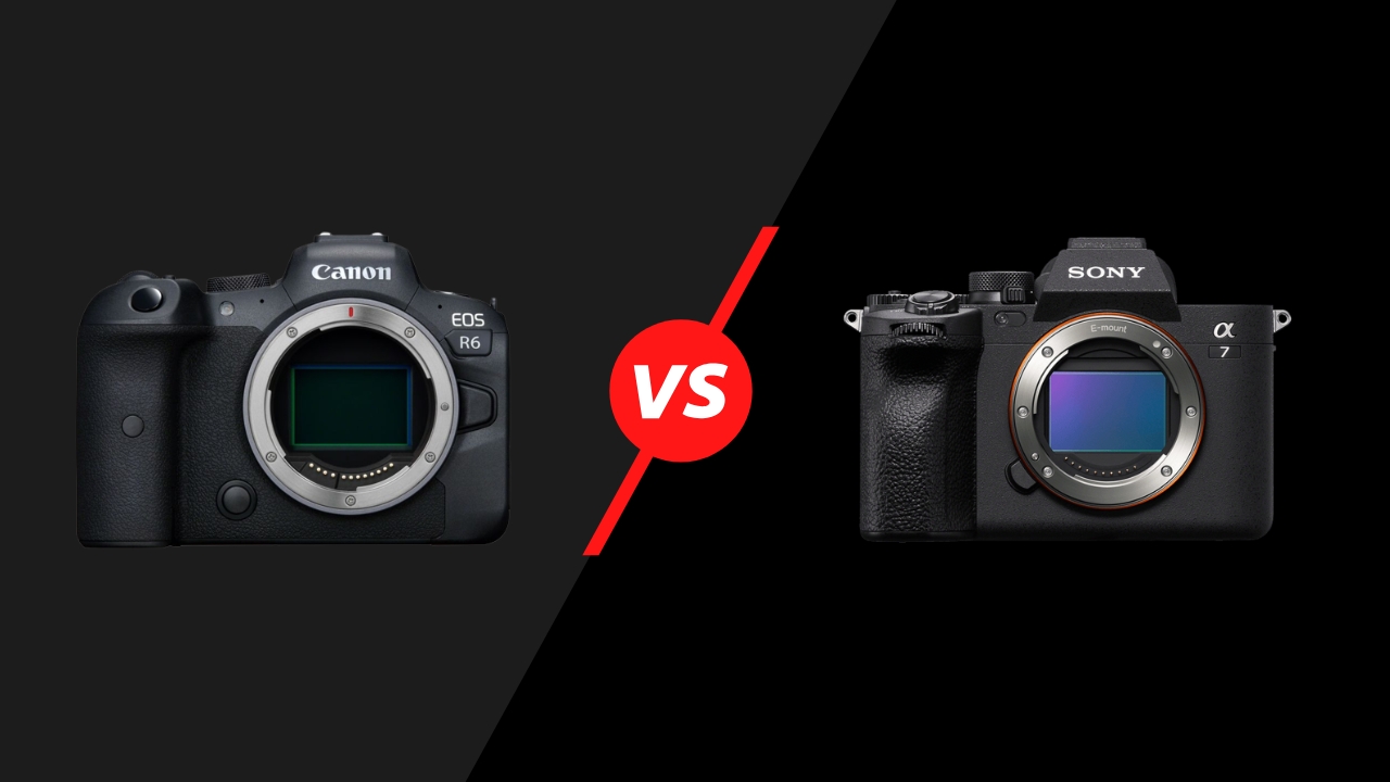 Canon EOS R6 vs Sony A7 IV 1