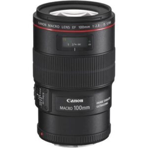 Canon EF 100mm f2.8L Macro IS USM Lens