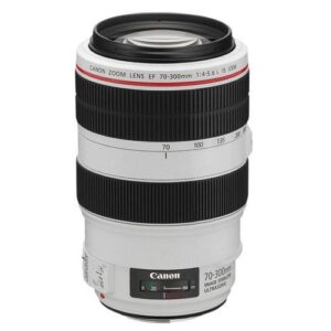 Canon EF 70-300mm f4-5.6L IS USM Lens